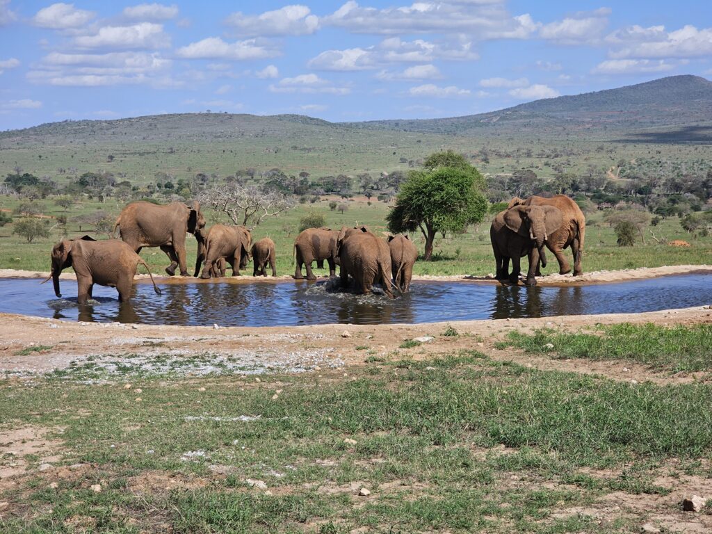 When Adventure Meets Environmental Stewardship