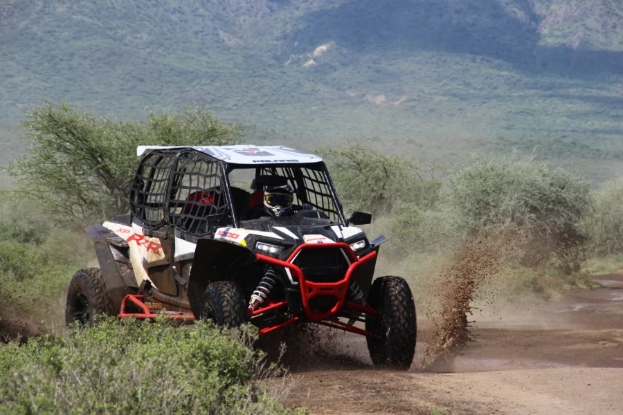 Buggy Day Trip