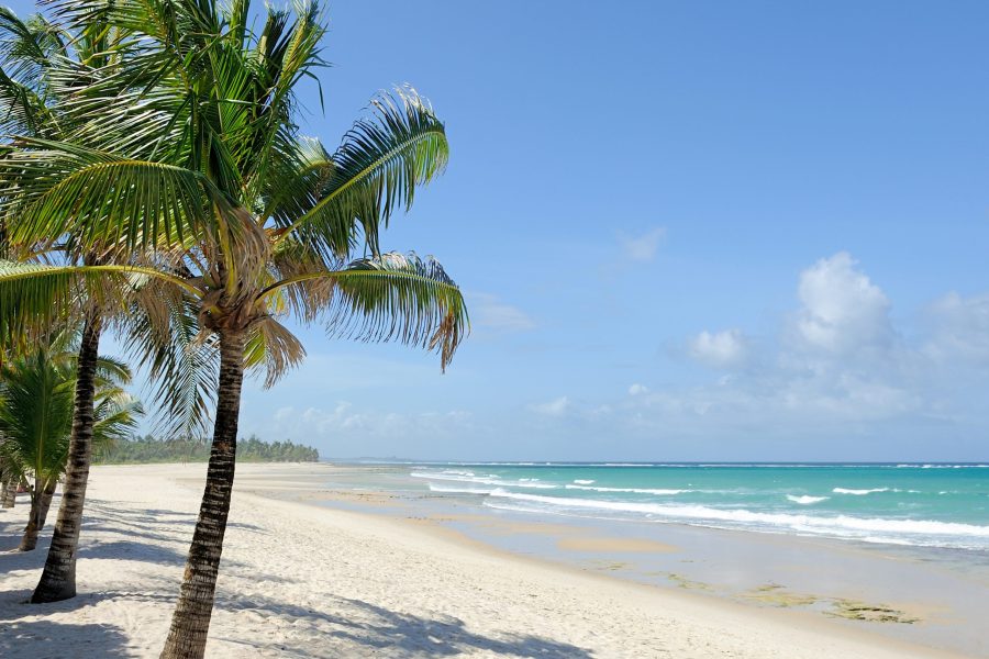 8 Days Kenya Safari & Beach Holiday